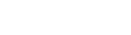 next day ground logo